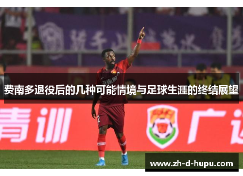 费南多退役后的几种可能情境与足球生涯的终结展望