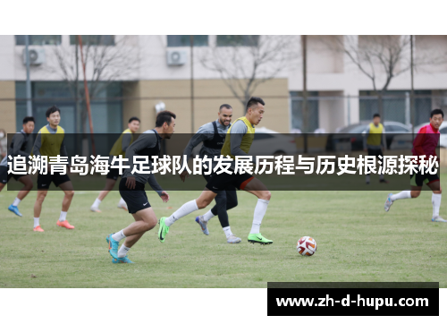 追溯青岛海牛足球队的发展历程与历史根源探秘 追溯青岛海牛足球队的发展历程与历史根源探秘
