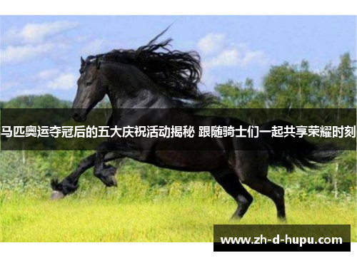 马匹奥运夺冠后的五大庆祝活动揭秘 跟随骑士们一起共享荣耀时刻
