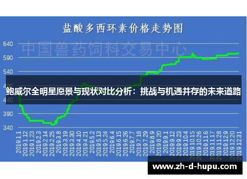 鲍威尔全明星愿景与现状对比分析：挑战与机遇并存的未来道路