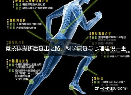 竞技体操伤后复出之路,科学康复与心理建设并重 竞技体操伤后复出之路,科学康复与心理建设并重